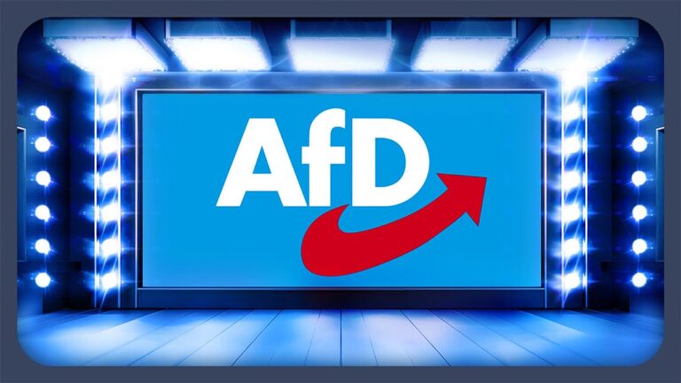 Das Wahlprogramm der AfD erklärt | Bundestagswahl 2025