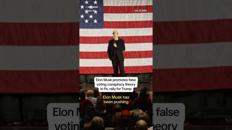 Elon Musk pushed fake voting theory