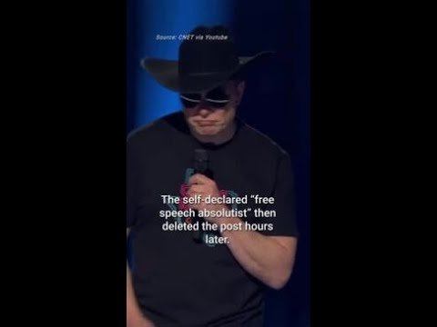 Elon Musk posts ‘disgusting’ conspiracy theory after Pelosi attack