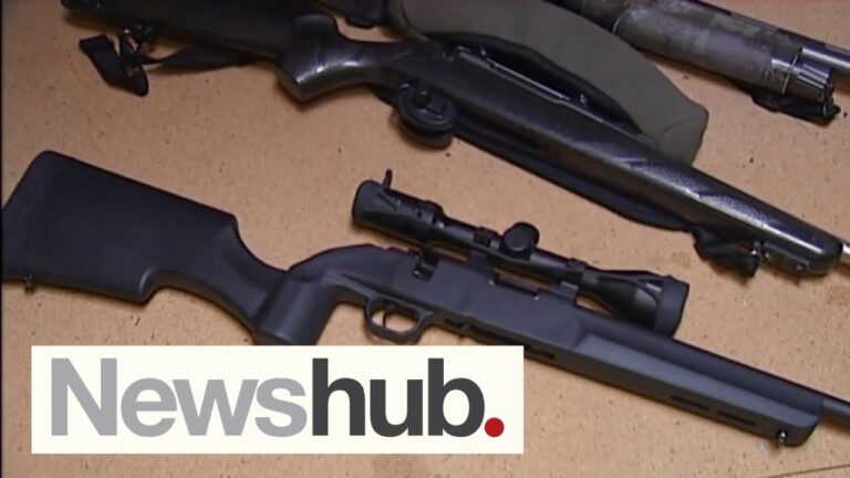 ‘Creating a shopping list’: Gun owners fear data leak as 50k firearms registered | Newshub