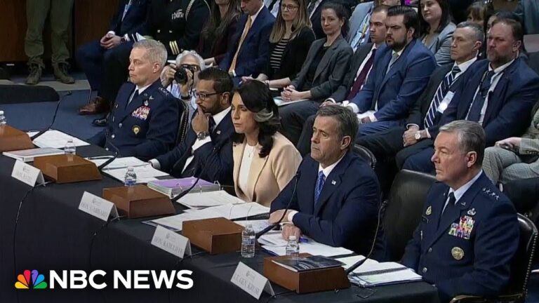 Democrats grill Trump officials over leaked group chat