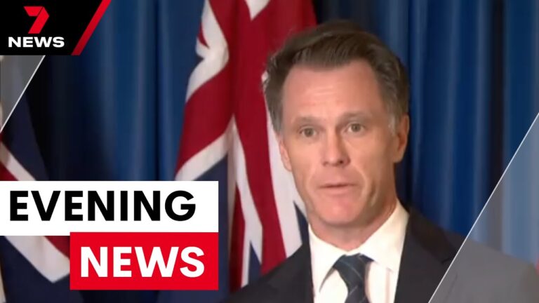 Dutton’s plans to slash fuel prices, NSW court data breach and Hume Highway truck fire | 7NEWS