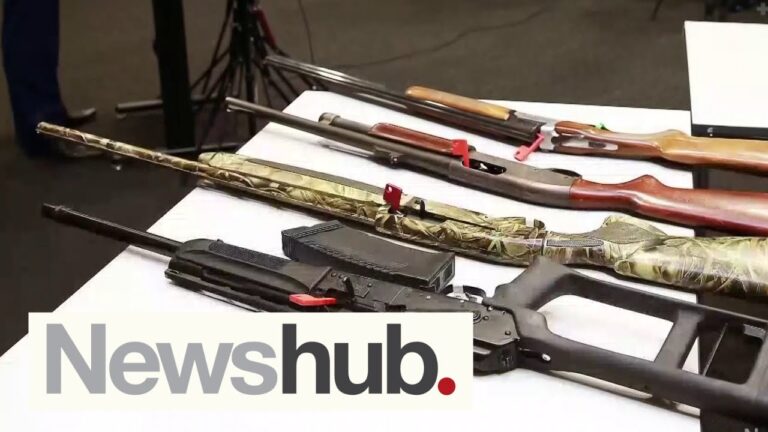 Gun owners fear being targeted by criminals after Firearms Safety Authority privacy breach | Newshub