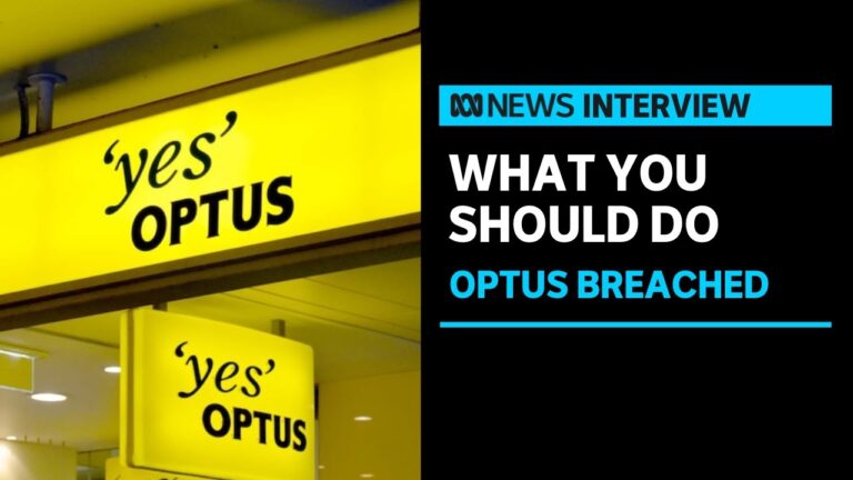 What you should do as an Optus customer after the data breach | ABC News
