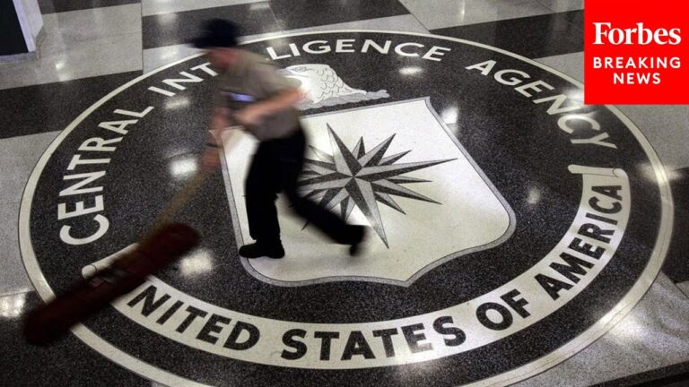 Former CIA Staffer Convicted For Massive Data Breach To WikiLeaks