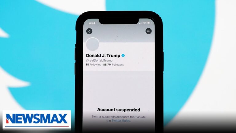 Machines learned to hate your politics: Tech expert exposes the reality of Section 230