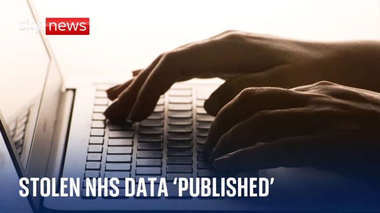 NHS cyber attack: Data stolen from blood test provider by criminal group ‘published online’