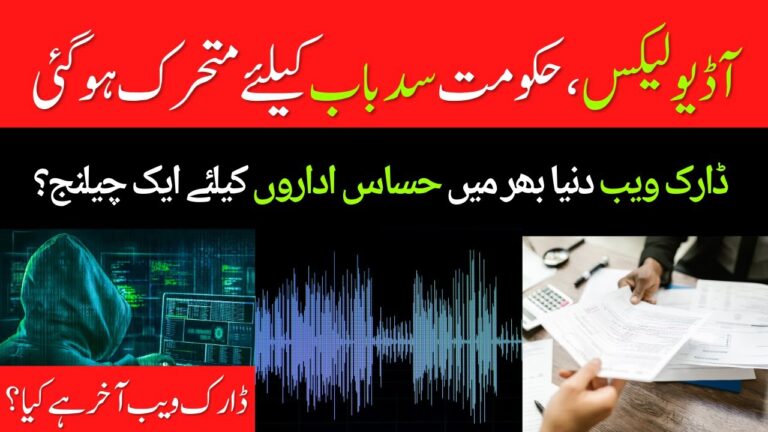 The Government mobilized to fix leak-sensitive data on the dark web