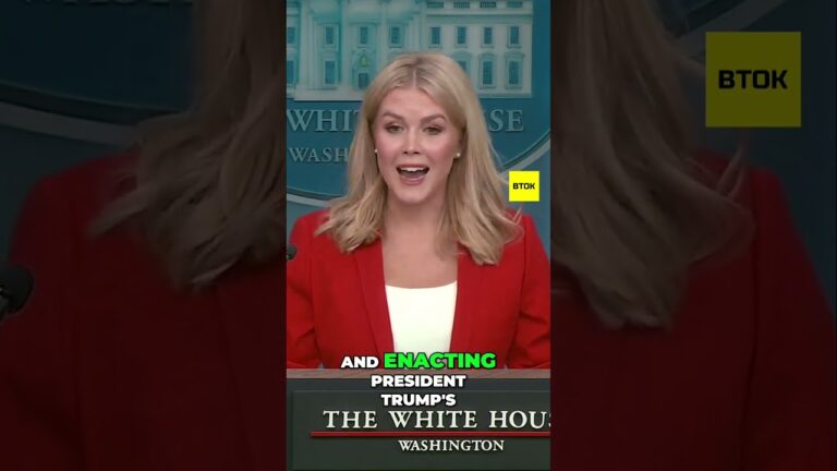 🤝 Who’s Leaking: Inside the Investigation of Government Leakers 🇺🇸🔍
