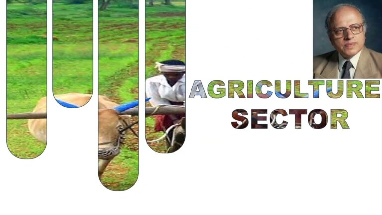 Big Data – Meaning, Characteristics,  Applications and Impact Assessment l kas mains l computer