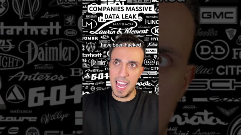 Companies Massive Data Leak