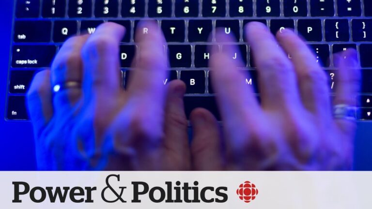 Is Canada ready to combat cyber threats? | Power & Politics