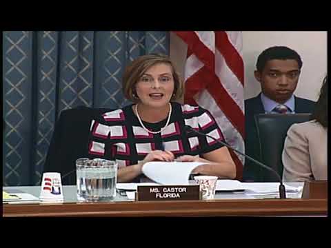 Oversight and Investigations Hearing  on Identity Verification in a Post Breach World (11/30/2017)