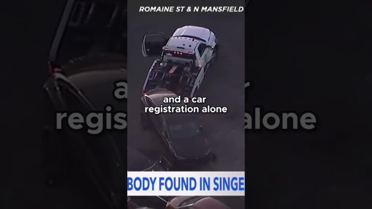 Alleged Viral Discord Leaked Chats and Secret Relationship Between D4VD and Victim Celeste