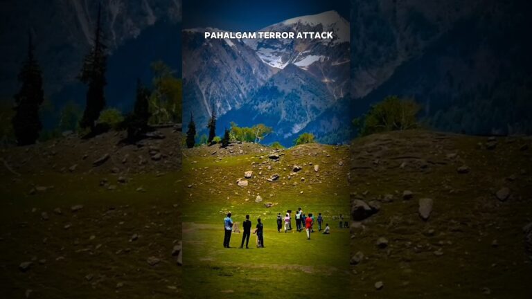 Pahalgam terror attack || The Hacked 40+ Pakistani Websites –| Mayank Gandhi | THE SANI 2.0