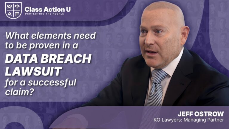 What Elements Should Be Proven in a Successful Data Breach Lawsuit?