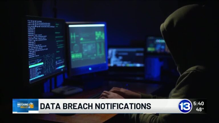 Watching Your Wallet: Data Breach Notifications