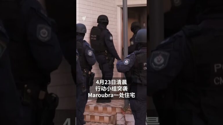 黑进新州法院系统，男子下载近九千份法庭文件，警方清晨破门逮人 | SBS中文